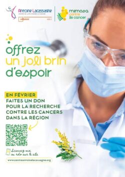 affiche mimosa