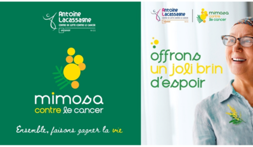 header Actus web mimosa